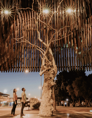 tree of knowledge