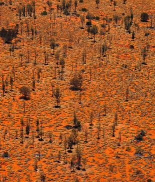 <p><i>Australia’s 10 Greatest</i> <strong>Outback</strong> Journeys</p>
