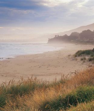 <p><i>The secret</i> <strong>Victorian</strong> beaches you need to know about</p>
