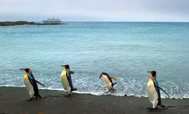 Ken Duncan in Antarctica