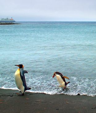 <p><strong>Ken Duncan</strong> in <strong>Antarctica</strong></p>
