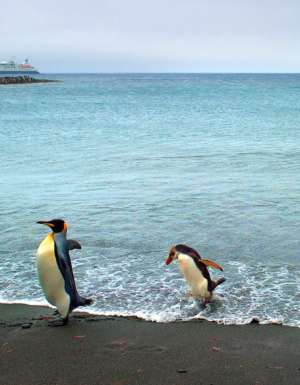 Ken Duncan in Antarctica