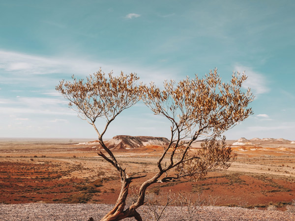 Coober Pedy landscape from The Ghan