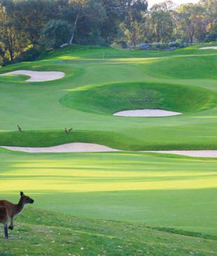 <p><i>The definitive list</i> of <strong>Australia’s</strong> best golf courses</p>
