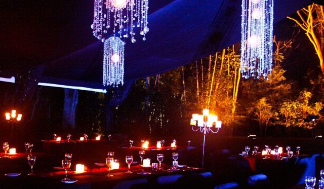 Flames of the Forest