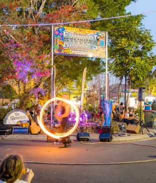 <p><i>Everything you need to know</i> about the <strong>Eumundi</strong> Markets</p>
