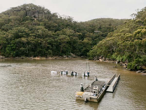 Aerial view of Sydney Oyster Tours