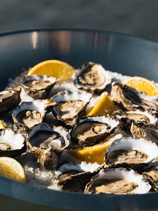 Sydney Oyster Farm Tour oyster tasting
