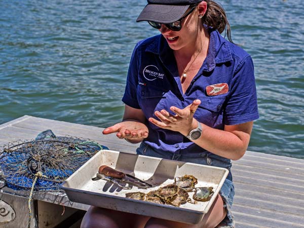 Broken Bay Pearl Farm tour leader