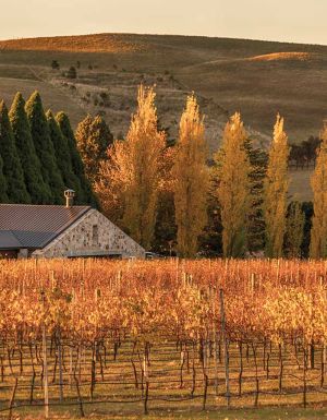 Bendooley Estate, Berrima, NSW Australia