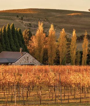 <p><i>A charming weekend to-do list</i> for <strong>Berrima</strong> village</p>
