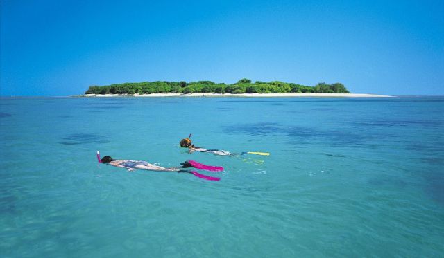Lady Musgrave Island QLD