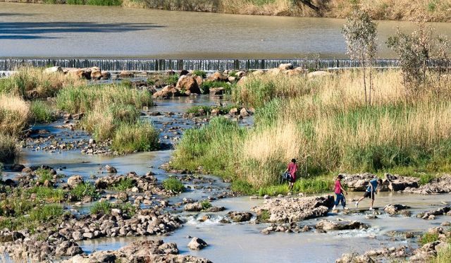 Aboriginal Fish traps at Brewarriina