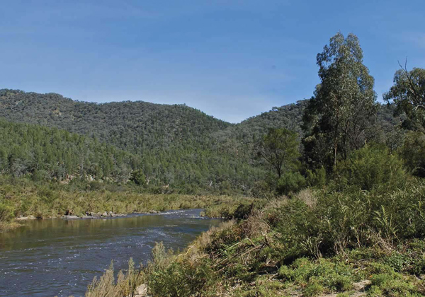 Snowy River National Park