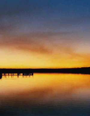 Corringle Slips Camping Area - Affordable Beach Breaks