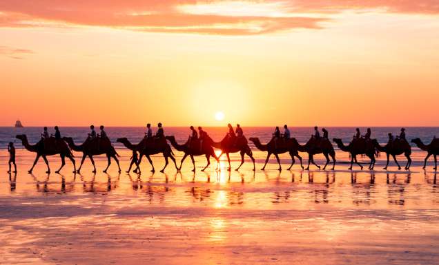 a group camel ride during sunset on Cable Beach, Broome