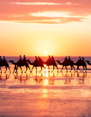 a group camel ride during sunset on Cable Beach, Broome