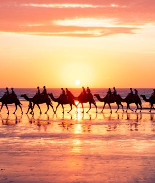 <p><i>Your guide to the iconic</i> camel rides in <strong>Broome</strong></p>
