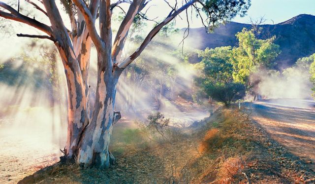 Parachilna Gorge Flinders Ranges