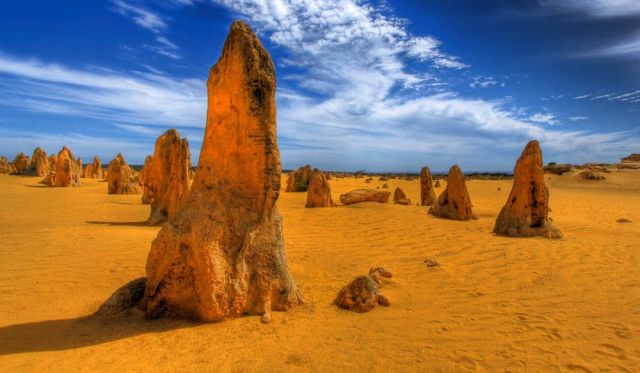 The Pinnacles Nambung National Park