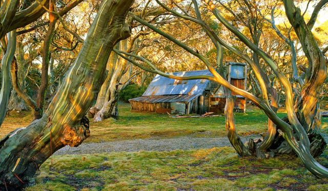Wallace Hut VIC