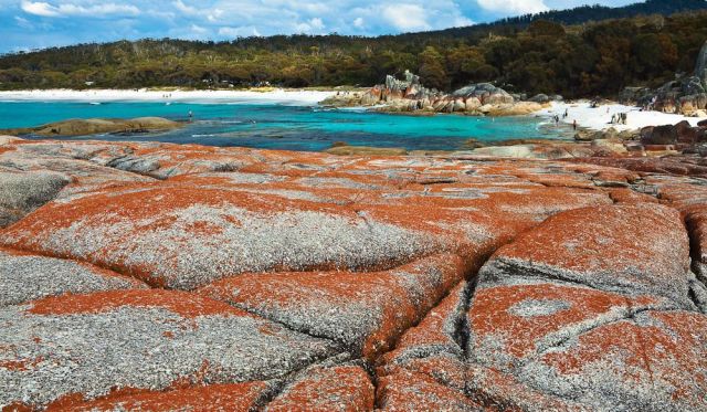 Bay of Fires Conservation Area - the Gardens - Image by Tourism Tasmania and Nigel Honey