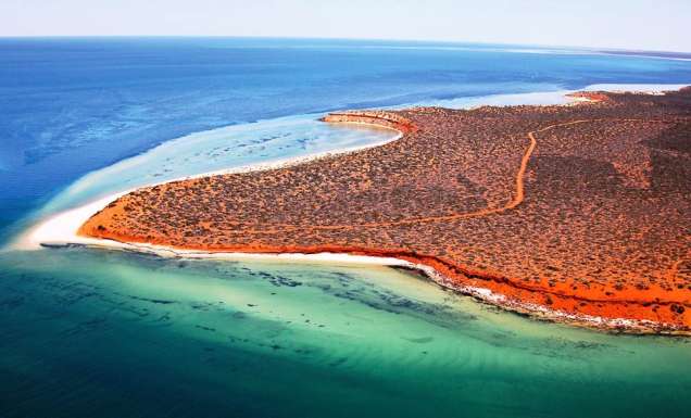 059 Shark Bay Marine Park, WA