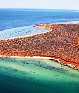<p><i>A road trip itinerary</i> from <strong>Perth</strong> to <strong>Ningaloo Reef</strong></p>
