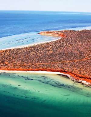 059 Shark Bay Marine Park, WA