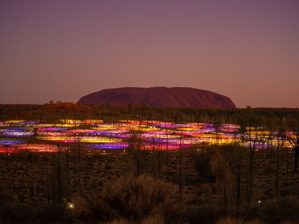 Field of Light at sunrise in Uluru