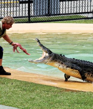 <p><i>Steve Irwin to RM Williams</i>: the most memorable <strong>outback</strong> characters</p>
