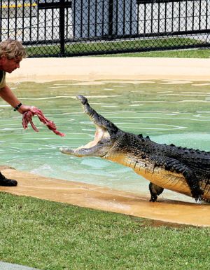 Steve Irwin to RM Williams: the most memorable outback characters
