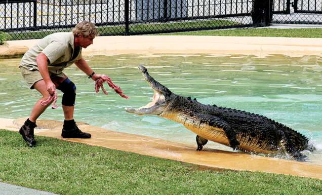 Steve Irwin to RM Williams: the most memorable outback characters
