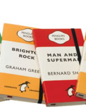 Sneaky Notebooks