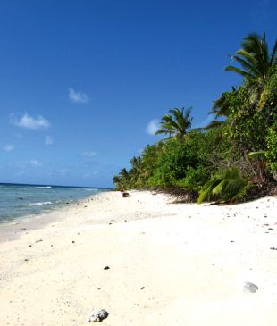 <p><strong>Cocos Islands</strong>, <i>Going Coco</i> – Reader Story</p>
