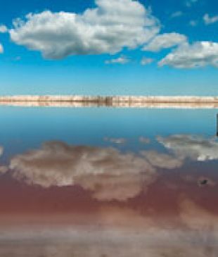 <p><strong>Lake Bumbunga</strong>: <i>Another World</i></p>
