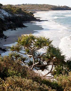 New Guided Tours Along Solitary Bay Trail