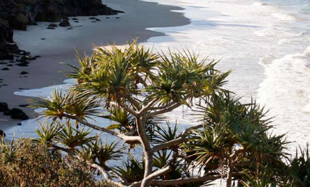 New Guided Tours Along Solitary Bay Trail