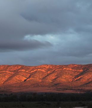 <p><i>The essential guide</i> to visiting the <strong>Flinders Ranges</strong></p>
