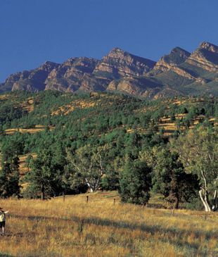 <p><i>The Heysen Trail</i>, Great Walk of <strong>SA</strong></p>

