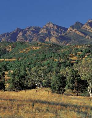 The Heysen Trail, Great Walk of SA