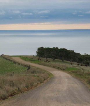 <p><i>Off The Beaten Track</i></p>
