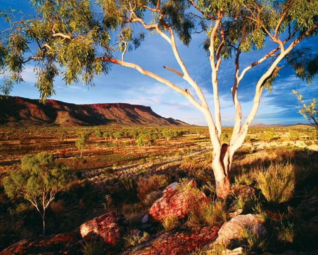 The West MacDonnell Ranges