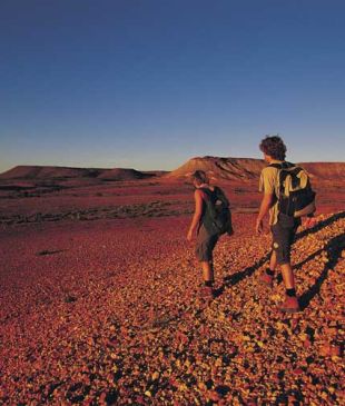 <p><i>The many styles of accommodation</i> in the <strong>Australian Outback</strong></p>
