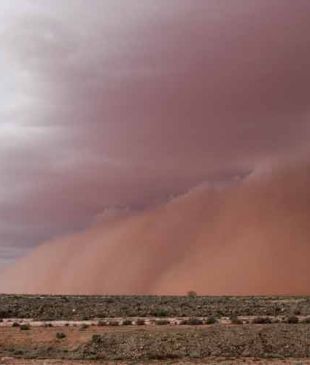 <p><i>Wide brown land</i>: The photographs of Trent van der Jagt</p>

