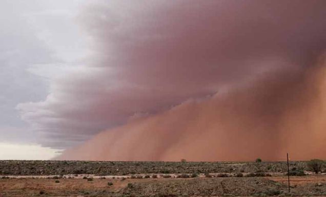Wide brown land: The photographs of Trent van der Jagt