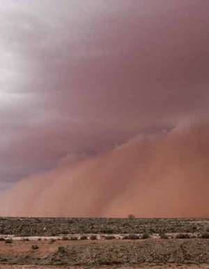 Wide brown land: The photographs of Trent van der Jagt