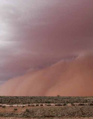 Wide brown land: The photographs of Trent van der Jagt