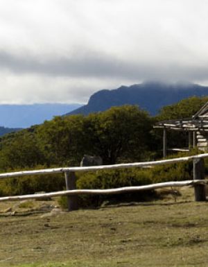 The Australian Alps Walking Track