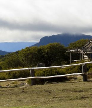 <p><i>The</i> <strong>Australian Alps</strong> Walking Track</p>
